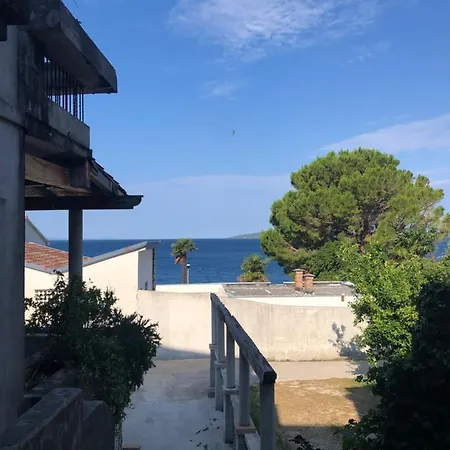 Mandy * 자오스트로그